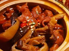 -九鼎轩脆毛肚火锅(三钢里店)