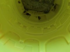 -丁香湖公园