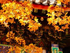 -香山公园