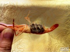 -南湖船菜大酒店