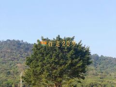 -艾米稻香小镇