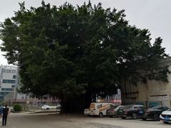 -813芭依珊 BAESAn(皇冠十畝地店)