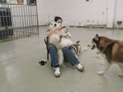 -星多哈·狗咖·拼豆·咖啡