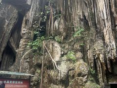 -巴马水晶宫