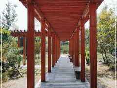 -绿堤公园