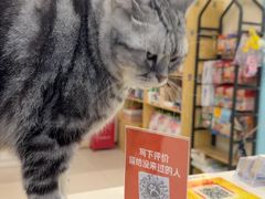 -全心全意连锁动物医院·微创中心·内科急重症·心脏专科(丰管路店)