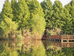 -苏州太湖湖滨国家湿地公园