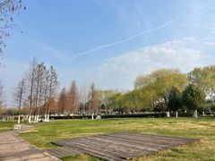 -滨湖塘西河公园