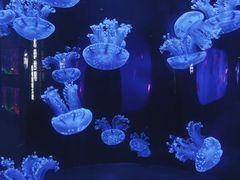 -南京海底世界