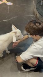 -Zoolung Zoolung动物主题公园(海信广场店)