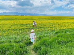 -山丹皇家马场