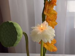 -金色印象·4K影院式足体养生(杨家坪西郊店)