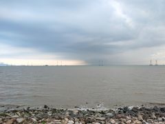 -宝安西湾红树林湿地公园