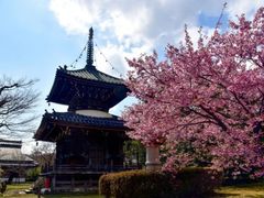 -清凉寺