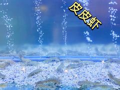 -白仁仔· 活烤海鲜 宵夜(豫园店)