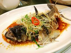 清蒸老虎斑-东江海鲜酒家(艺都分店)
