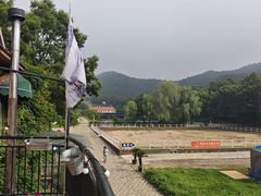 -金石滩蓝莓谷庄园
