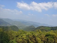 -莫干山风景区