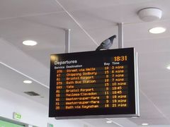 -布里斯托尔国际热气球节