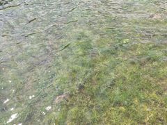 -观音阁水库风景区