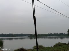 -东湖落雁景区