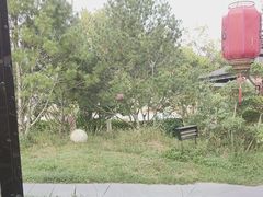 -后海彼岸花园餐厅