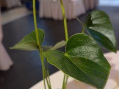 -眉州东坡(通州店)