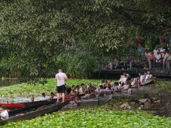 -荔湾湖公园