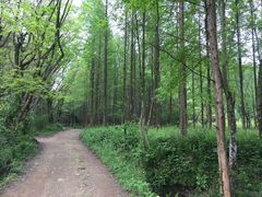 -小格里自然风景区