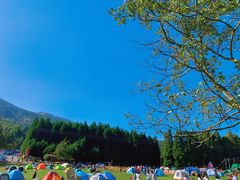 -武陵山森林公园