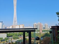 -小茶闲舍·观景商务茶馆(广州塔店)