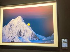 -罗红摄影艺术馆