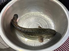 -老四川平头酸菜鱼(衙前店)