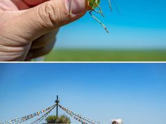 -呼和诺尔旅游景区