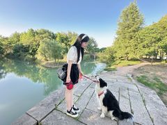-贡湖湾湿地公园