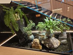 -连鹭海鲜·海肠捞饭·海胆饭(星海店)