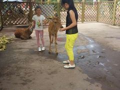 -哈尔滨文化公园