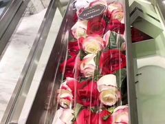-ROSEONLY诺誓(磐基中心店)