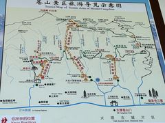 -苍山感通索道