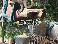 -清迈夜间动物园