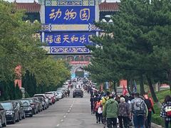 -西霞口神雕山野生动物世界