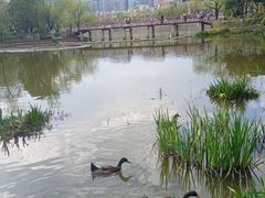 -月牙潭公园