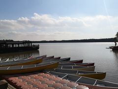 -上海海湾国家森林公园