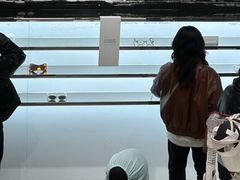 -Gentle Monster(Galleria百货狎鸥亭店)