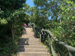 -梧桐山风景名胜区