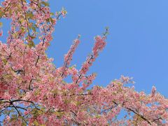 -中山纪念堂