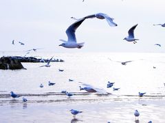 -老虎石海上公园