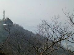 -紫金山山顶公园