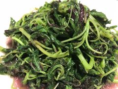 -阿英煲(凉城路店)