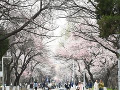 -吉林大学(南岭校区)
